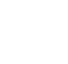 Secure Icon