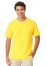 JB's Adult 100% Cotton Daffodil Tee