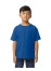 Gildan Softstyle Youth Midweight T-Shirt