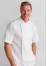 Mens Zest Short Sleeve Chef Jacket