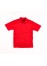P210-Classic Adults Polo