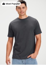 T10012 - MENS Ice 100% Cotton T-Shirt